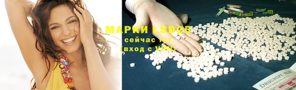 ГАЛЛЮЦИНОГЕННЫЕ ГРИБЫ Алзамай