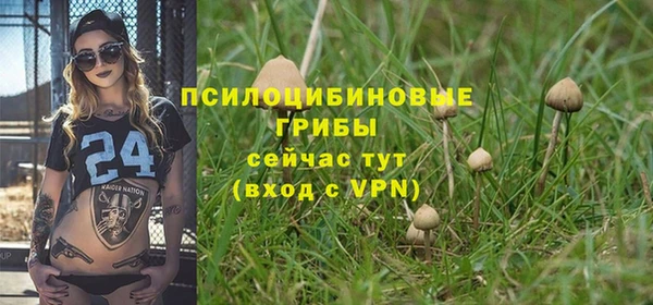 ГАЛЛЮЦИНОГЕННЫЕ ГРИБЫ Алзамай