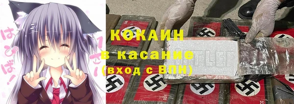ГАЛЛЮЦИНОГЕННЫЕ ГРИБЫ Алзамай